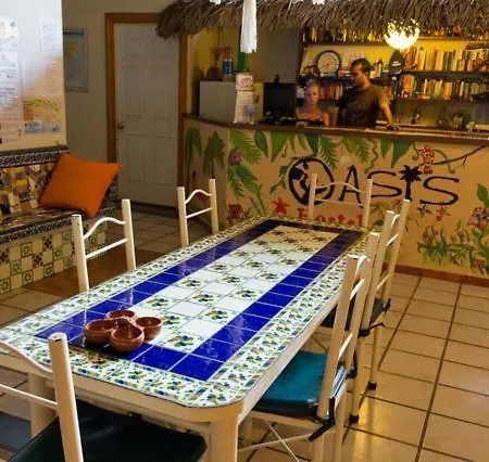 Oasis Hostel